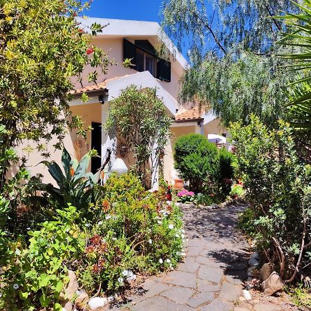 Costa degli Angeli La Pirata Capitana B&B 외부 사진