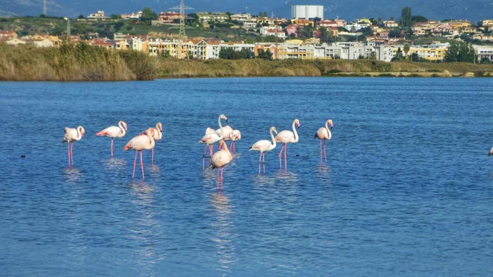 Costa degli Angeli La Pirata Capitana B&B 외부 사진
