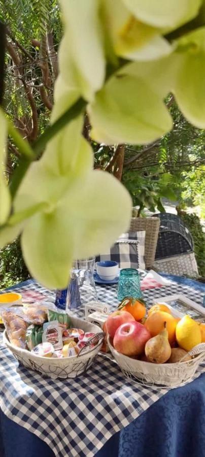 Costa degli Angeli La Pirata Capitana B&B 외부 사진
