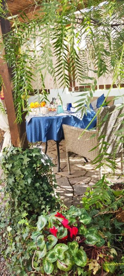Costa degli Angeli La Pirata Capitana B&B 외부 사진