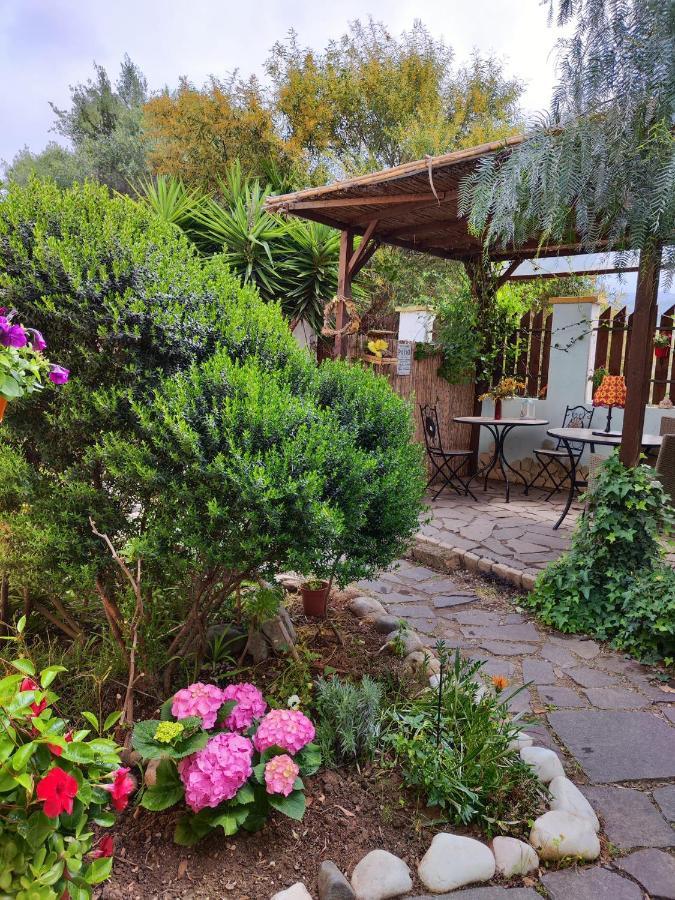 Costa degli Angeli La Pirata Capitana B&B 외부 사진