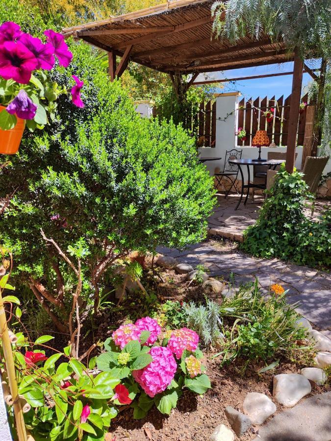 Costa degli Angeli La Pirata Capitana B&B 외부 사진