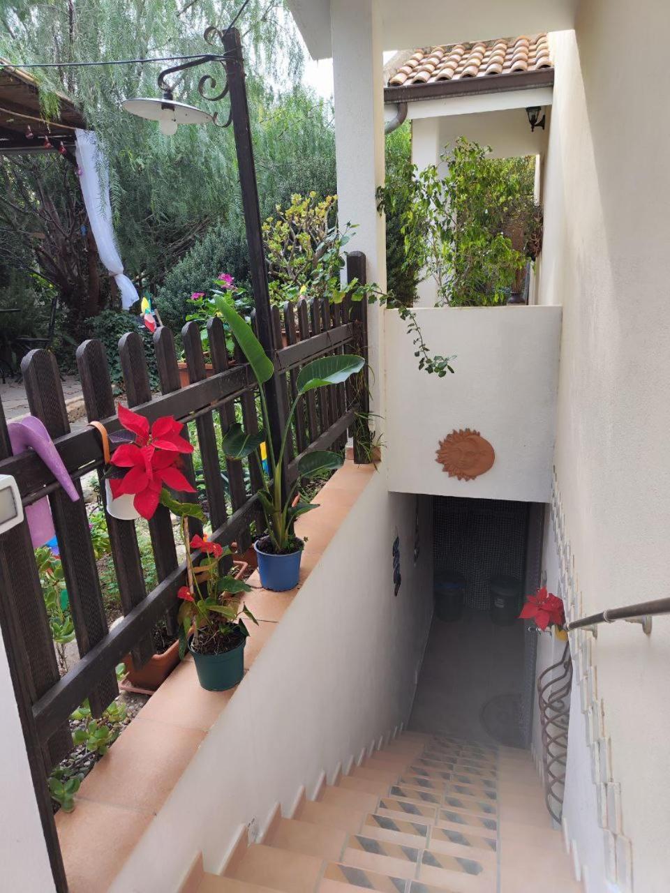 Costa degli Angeli La Pirata Capitana B&B 외부 사진